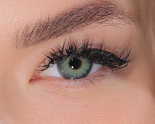 Lady Ash Gray Green (1-Day)