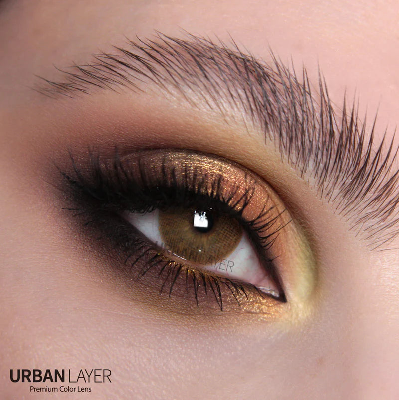 Urban Maldives Brown (Yearly)