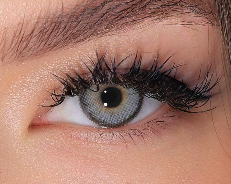 Lady Smoky Gray (1-Day)