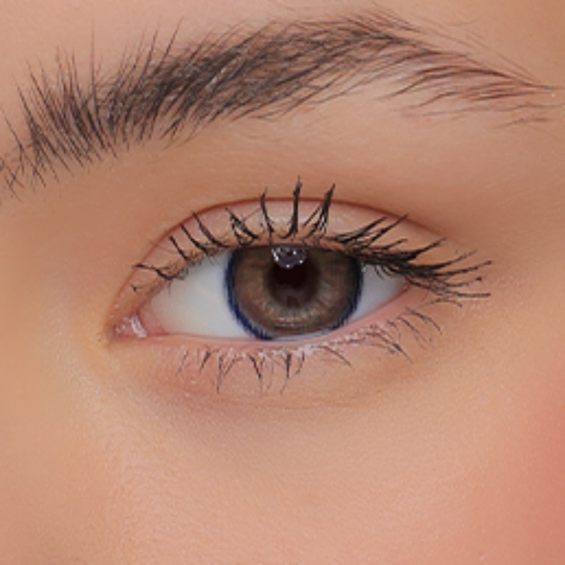 Celia Galaxy Brown (Yearly)
