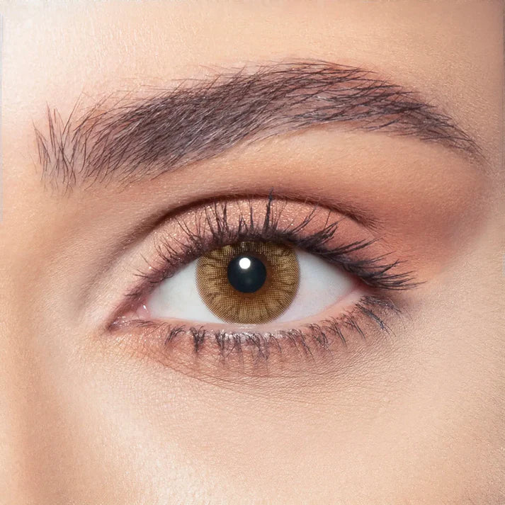 Bella Hazel Honey (1-Day)