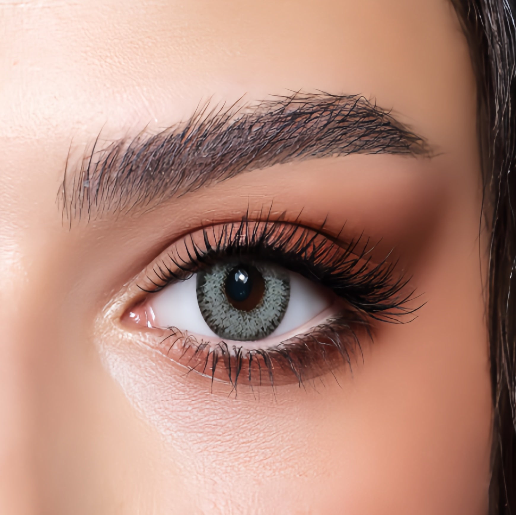 Bella Gray Green Monthly